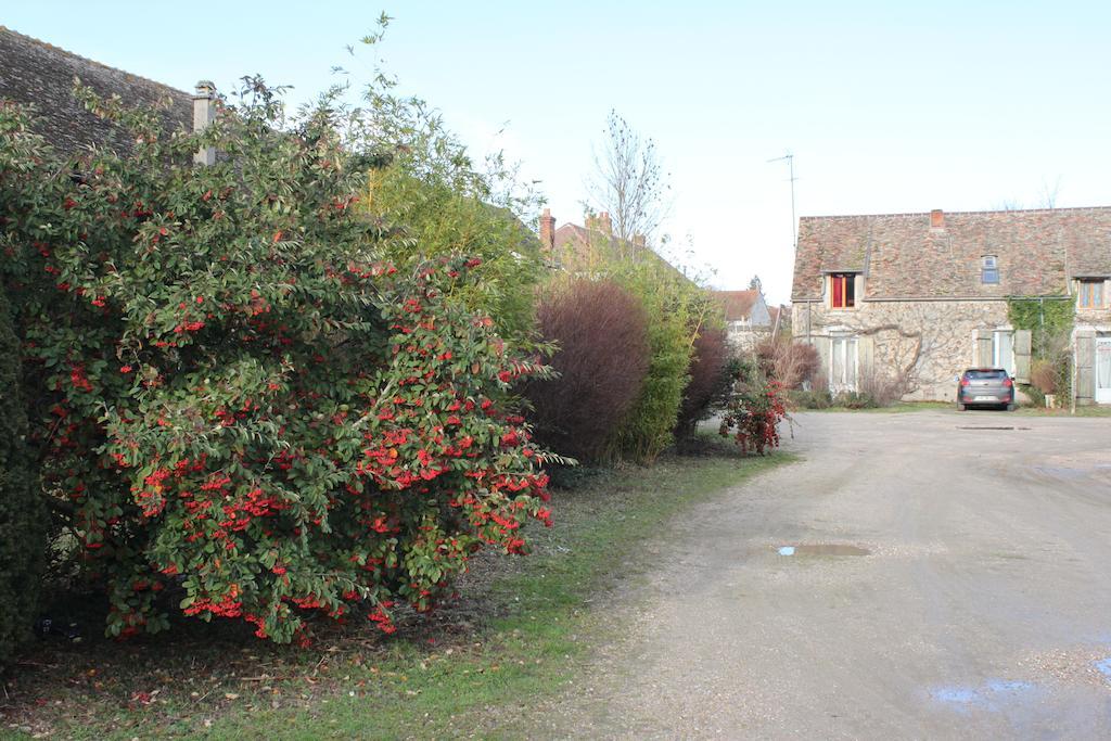 A La Ferme De La Joie - Chambres D'Hotes Chevannes  Zewnętrze zdjęcie